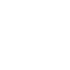 wordpress-img
